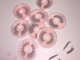 Flawlashes